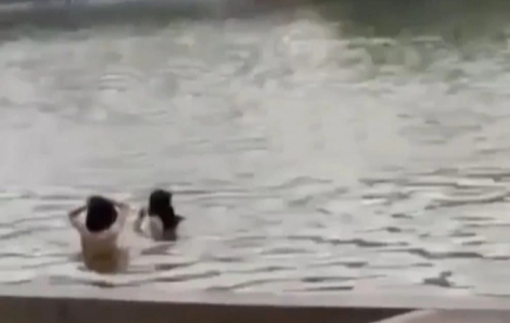 2 người tắm ở hồ Hoàn Kiếm là đàn ông