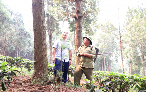 Kho báu giữa đại ngàn của “lão gàn” xứ Nghệ