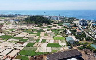 Nhiều người đến đảo Lý Sơn gom mua đất ruộng
