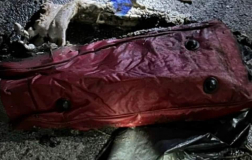 Thông tin mới vụ 1 phần thi thể phụ nữ bị bỏ vào túi du lịch rồi đốt cháy