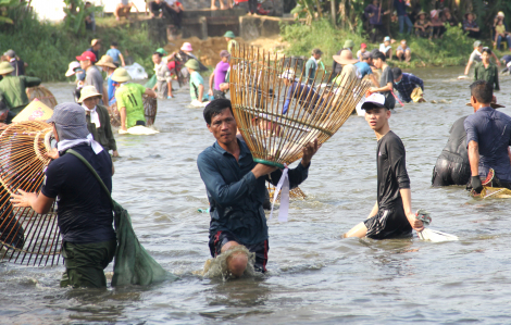 600 người thi nhau bắt cá