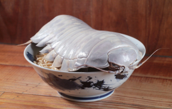 Tranh cãi món mì ramen bọ biển hút khách tại Đài Loan