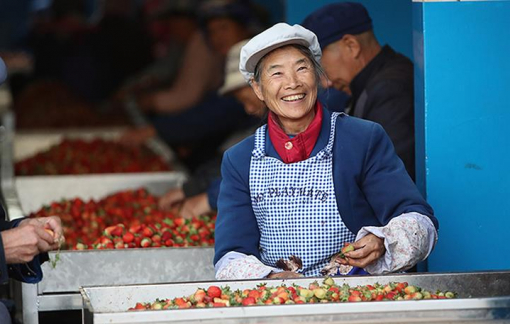 Trung Quốc tìm việc cho người già