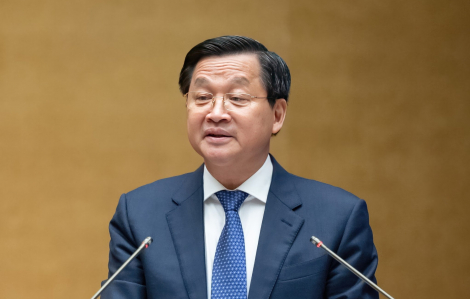 Phó thủ tướng Lê Minh Khái nói về việc "đánh chuột, không vỡ bình”