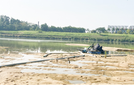 Quảng Ngãi "đau đầu" xử lý "cát tặc" trên sông Trà Khúc