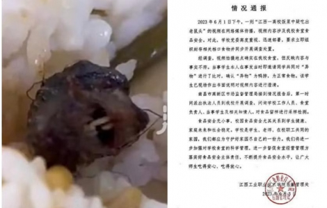 Đầu chuột trong bữa ăn của sinh viên Trung Quốc
