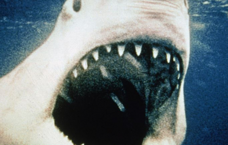 "Jaws" -  “cha đẻ” của bom tấn mùa hè