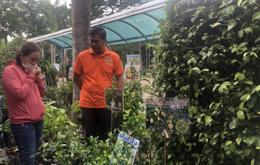 TPHCM là cầu nối hiệu quả cho nông nghiệp của các vùng trong cả nước