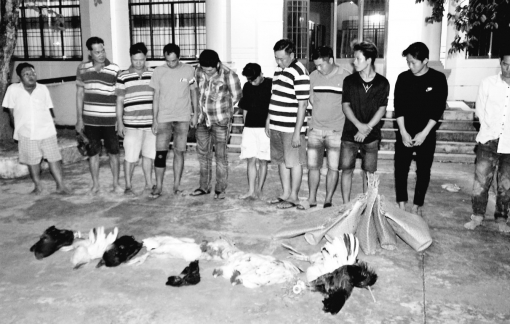 Triệt phá vụ đá gà ăn tiền, tạm giữ hơn 100 triệu đồng tiền mặt ở Bạc Liêu