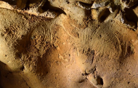 Hình khắc Neanderthal 57.000 năm tuổi được phát hiện ở Pháp
