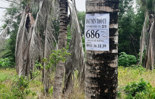 Hơn 3.400 trường hợp gian lận giao dịch bất động sản ở Cần Thơ chưa hợp tác