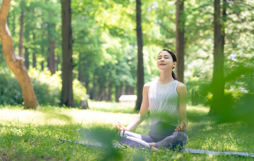 Sống gần không gian xanh giúp giảm nguy cơ tử vong do bệnh tật