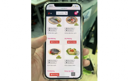 Co.op Online - Hành trình 5 năm “Giao niềm vui - Nhận nụ cười”