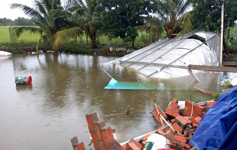 Vĩnh Long: Lốc xoáy càn quét, 46 căn nhà bị hư hại