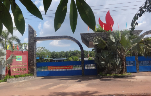 Người sáng lập Pacific Gas đưa đối tác ra tòa sau 3 năm vươn ra “biển lớn”