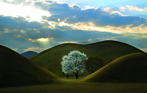 Không ngủ ở Gyeongju