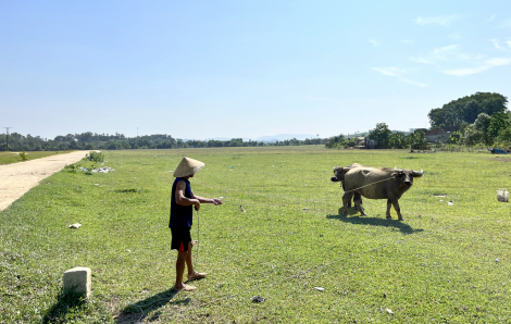 Dự án bỏ hoang, dân không có đất cuốc cày