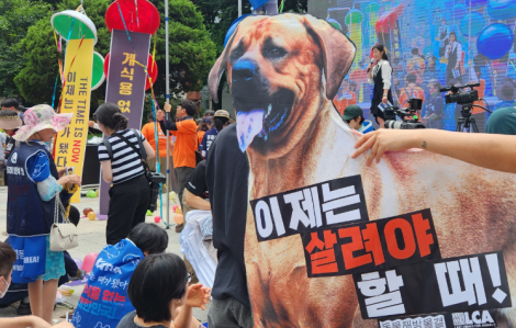 Món thịt chó khiến người Hàn Quốc bị chia rẽ