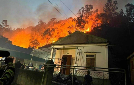 Huy động hàng trăm người dập lửa cứu rừng thông