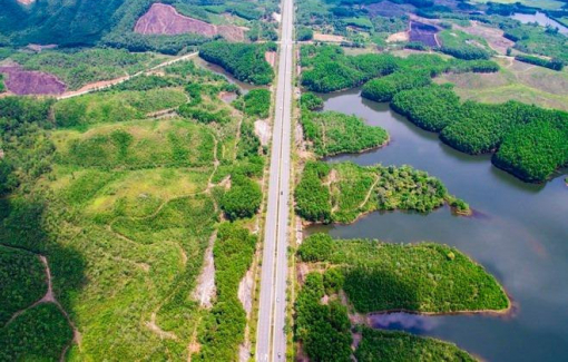 Đà Nẵng xin chuyển hơn 7ha rừng để làm dự án khu biệt thự