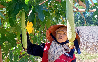 Mẹ không còn cơ hội nói dối