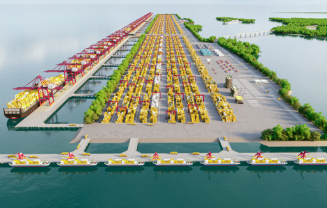 Xây siêu cảng ở Cần Giờ: Thận trọng để không xâm hại “lá phổi xanh”