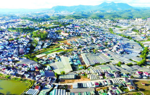 Nguy cơ sạt lở vẫn hiển hiện ở thành phố ngàn thông