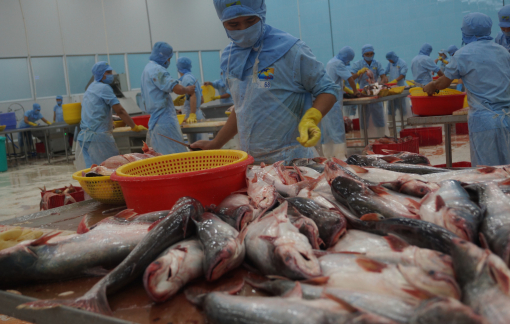 Triển khai gói vay 15.000 tỉ đồng với lãi suất thấp