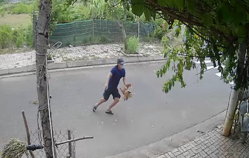 Chủ nhà dùng súng săn khiến kẻ trộm gà tử vong