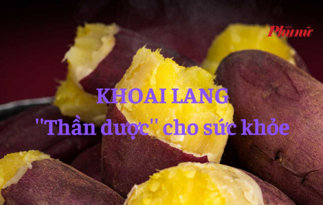 Khoai lang - ''thần dược'' cho sức khỏe