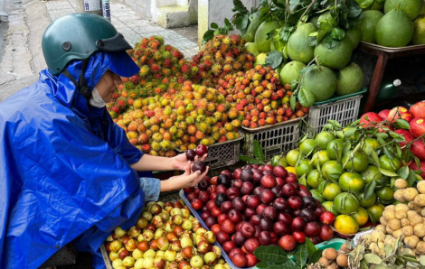 Mận đen, mận tróc nhập khẩu đang bị người bán lập lờ mận Úc, mận Mộc Châu