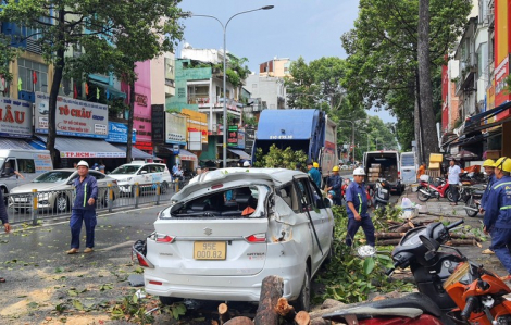 Cây xanh ở TPHCM bị gãy rơi xuống đường, đè trúng ô tô và xe máy sau cơn mưa