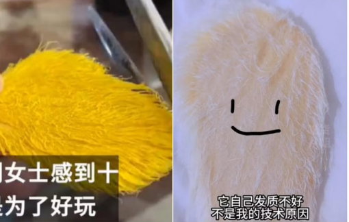 Dùng hột xoài làm "thú cưng"