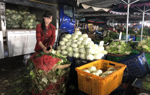 Mưa liên tục, nhiều loại rau tăng giá