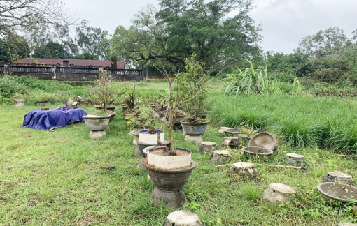 Bao giờ hết tình trạng bỏ bê di tích?