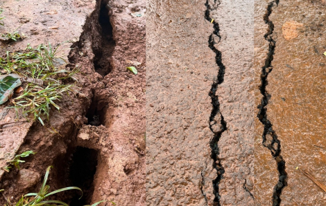 Nhiều địa phương tại Đắk Nông tiếp tục xuất hiện tình trạng nứt gãy đất