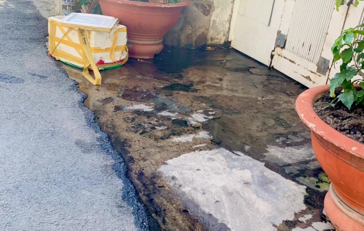 Ở gần công ty hải sản, khốn khổ vì mùi hôi tanh