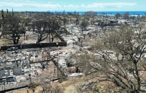 Người dân Hawaii phẫn nộ khi số người chết vì cháy rừng tăng lên 80