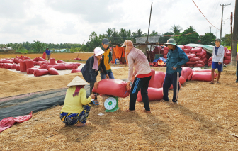 Ngăn đầu cơ giá lúa, gạo