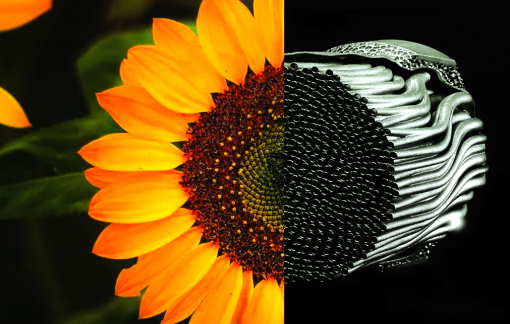 "Mát lành" đúng nghĩa