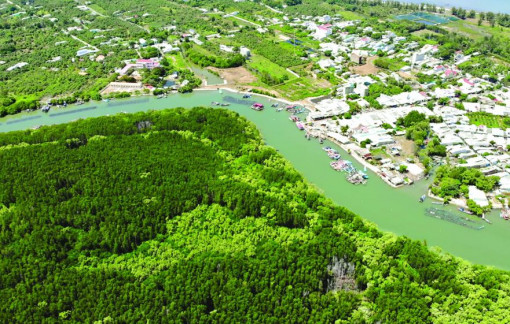 Cần Giờ được chọn thực hiện không phát thải đến năm 2030