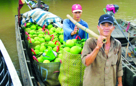 Trái cây miền Tây đang “hái” ra ngoại tệ