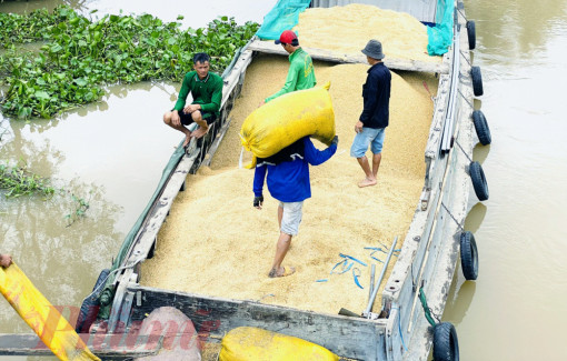 Tiếp sức cho ngành xuất khẩu tỉ đô phát triển