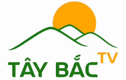 Kênh TikTok “TÂY BẮC TV” có gì mới lạ mà hút người xem đến vậy?