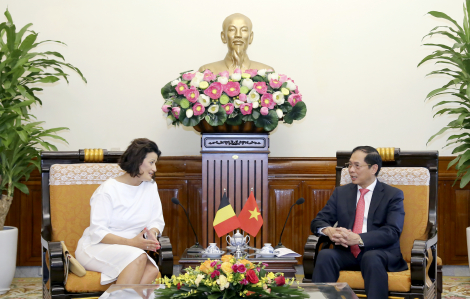 Chủ tịch Thượng viện Bỉ ghi nhận những nỗ lực của Việt Nam trong việc chống khai thác IUU