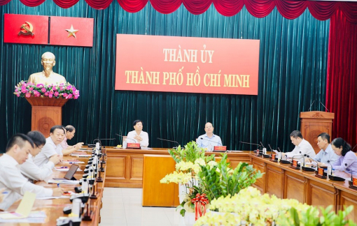 Tình hình quan hệ lao động tại TPHCM có chuyển biến tích cực qua các năm