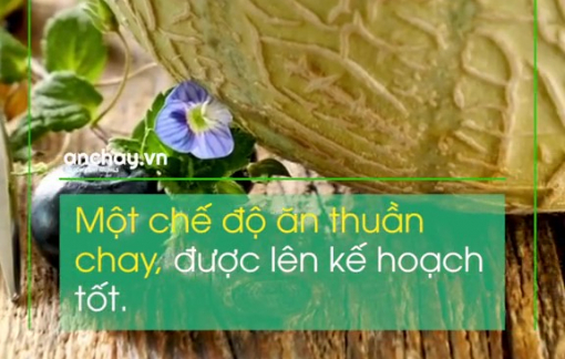 Anchay.tv - Kênh TikTok “triệu views” chia sẻ kiến thức và lan tỏa niềm vui ăn chay