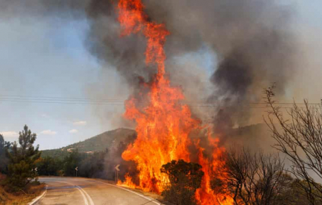 Lính cứu hỏa Hy Lạp chiến đấu với hơn 200 vụ cháy rừng trong 48 giờ