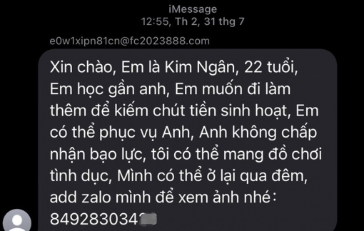 Rộ tin nhắn lừa đảo chào mời mại dâm - nhà mạng nói gì?