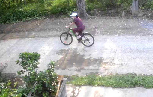 Phát hiện nguyên chủ tịch huyện tử vong bên lề đường